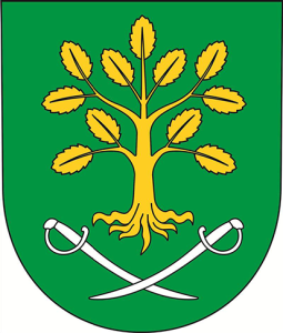 Badanie ankietowe na potrzeby dokumentu Strategia Rozwoju Gminy Brzeziny na lata 2026-2035+