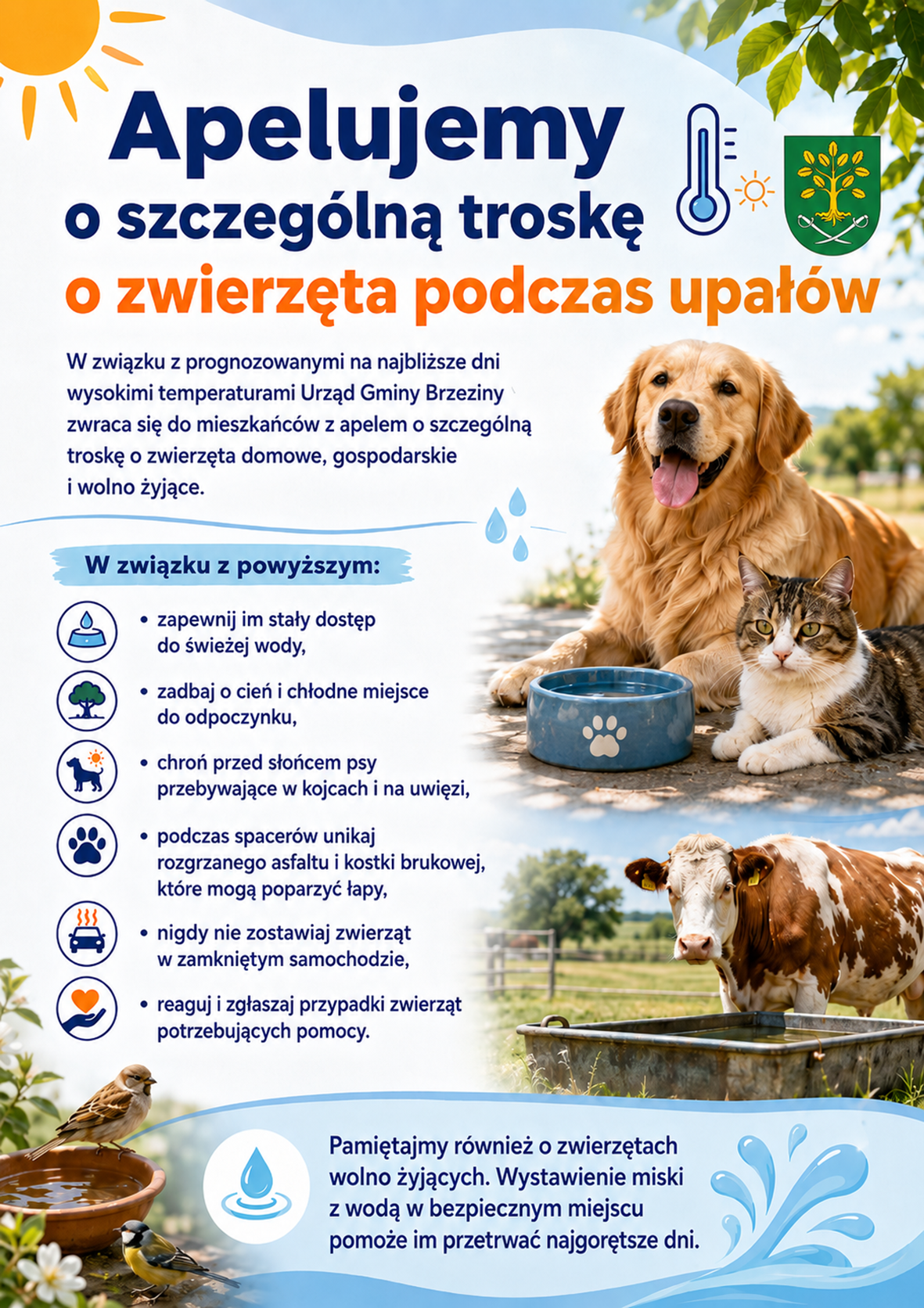 Apel troska o zwierzęta