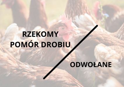 Rzekomy Pomór Drobiu - Odwołany !
