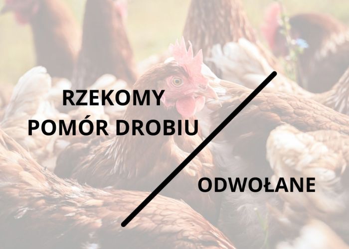 Rzekomy Pomór Drobiu - Odwołany !