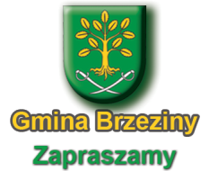 Gmina Brzeziny